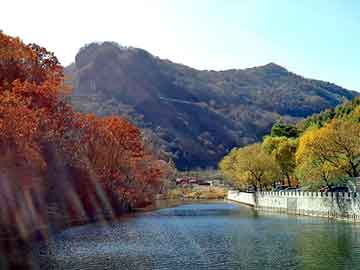 管家婆黑白马报图库，抽水控制器